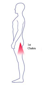 Root chakra location