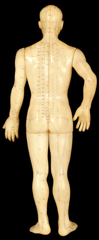 Acupuncture meridians