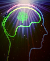 Right brain, in neon.