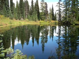 Nature as an anxiety reliever